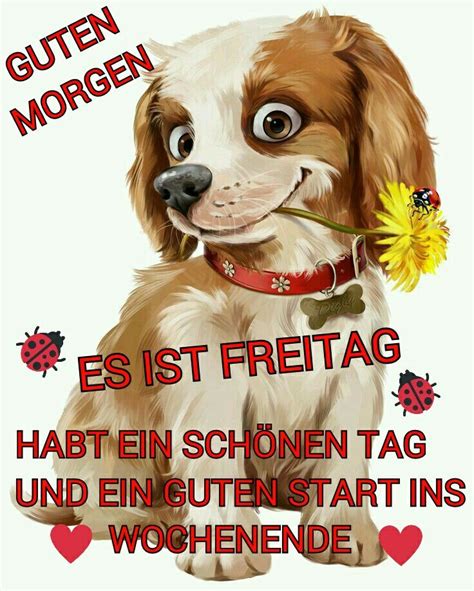 guten morgen freitag lustig gif|good morning gif.